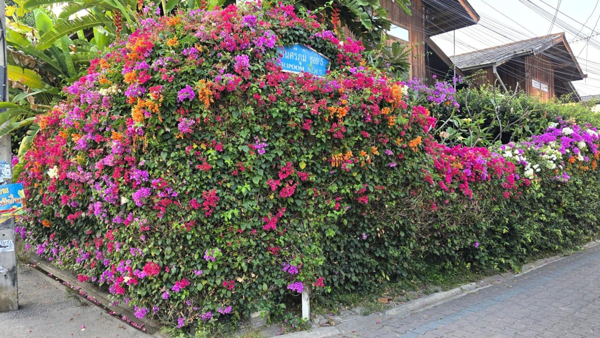 Siriwan Hostel Chiang Mai Eksteriør billede